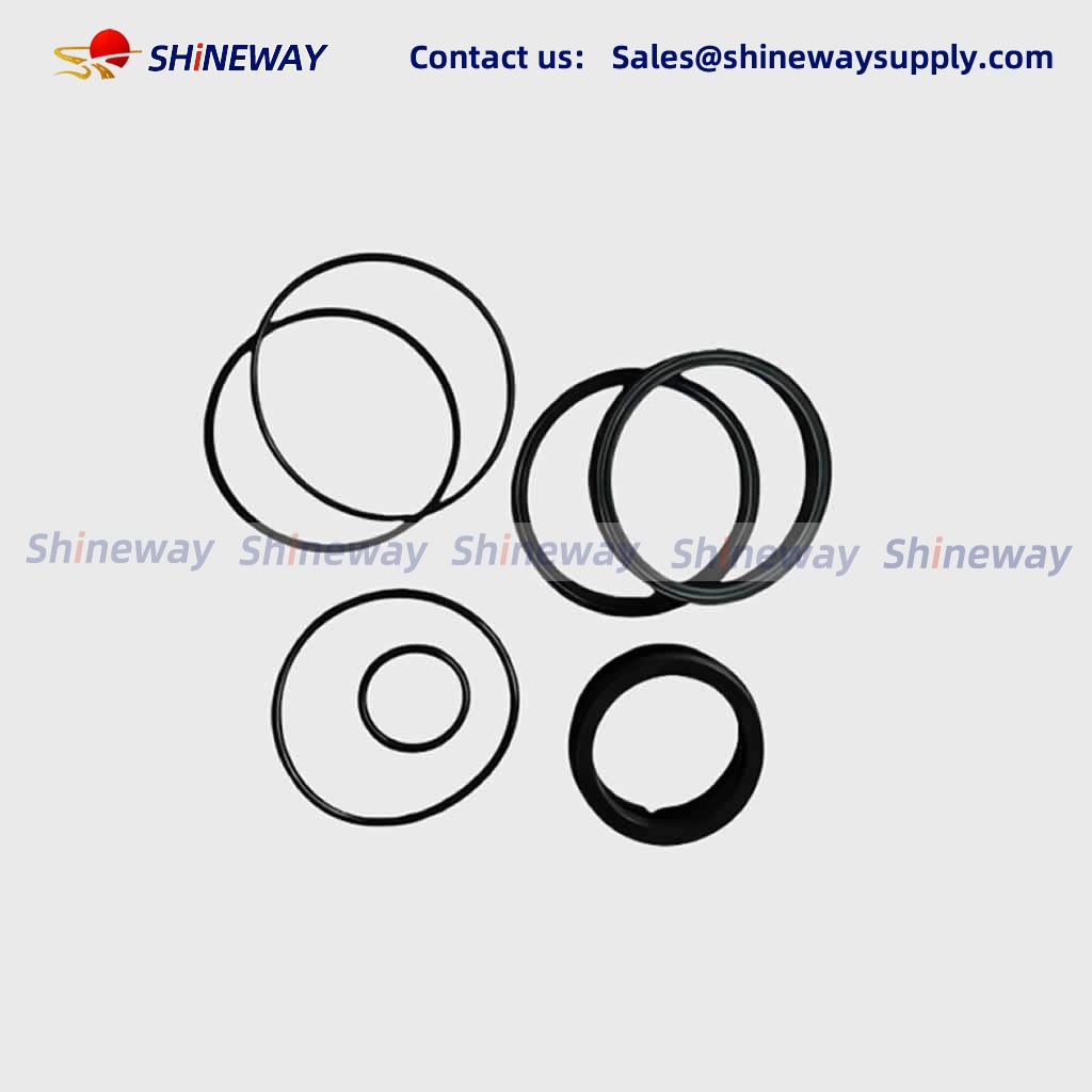 CANRIG Top Drive Parts  CYLINDER SEAL KIT