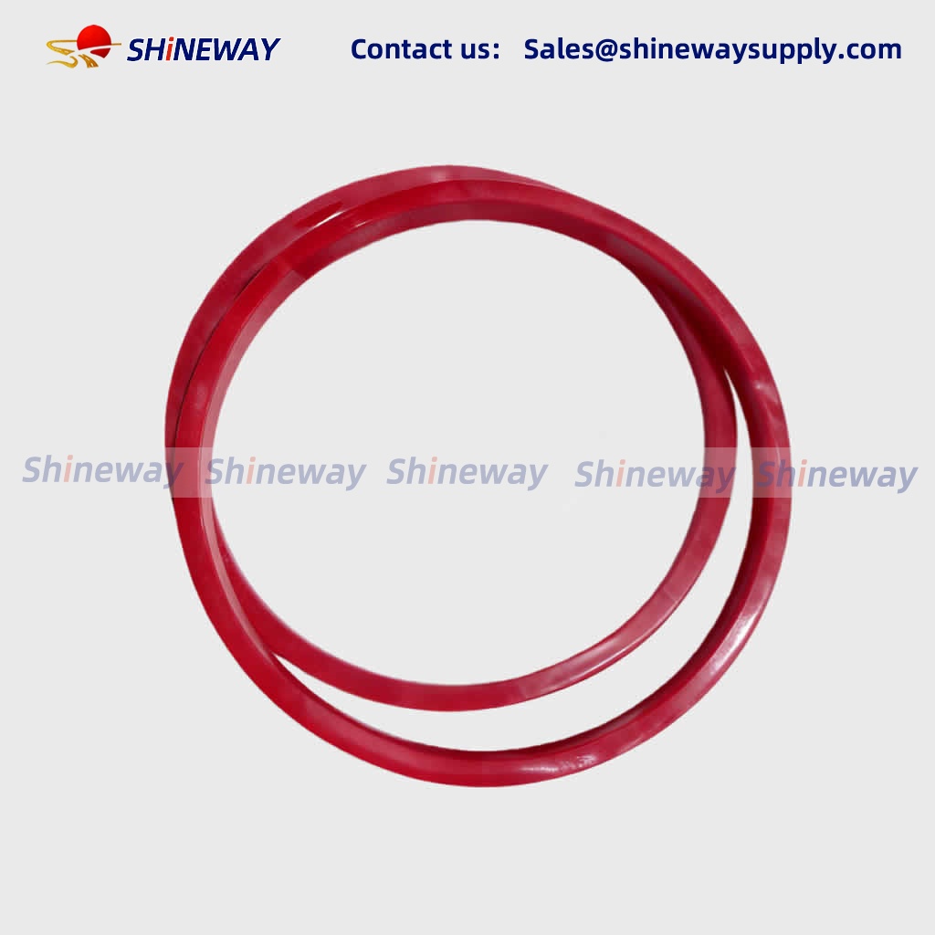 CANRIG Top Drive Parts  POLYPAK